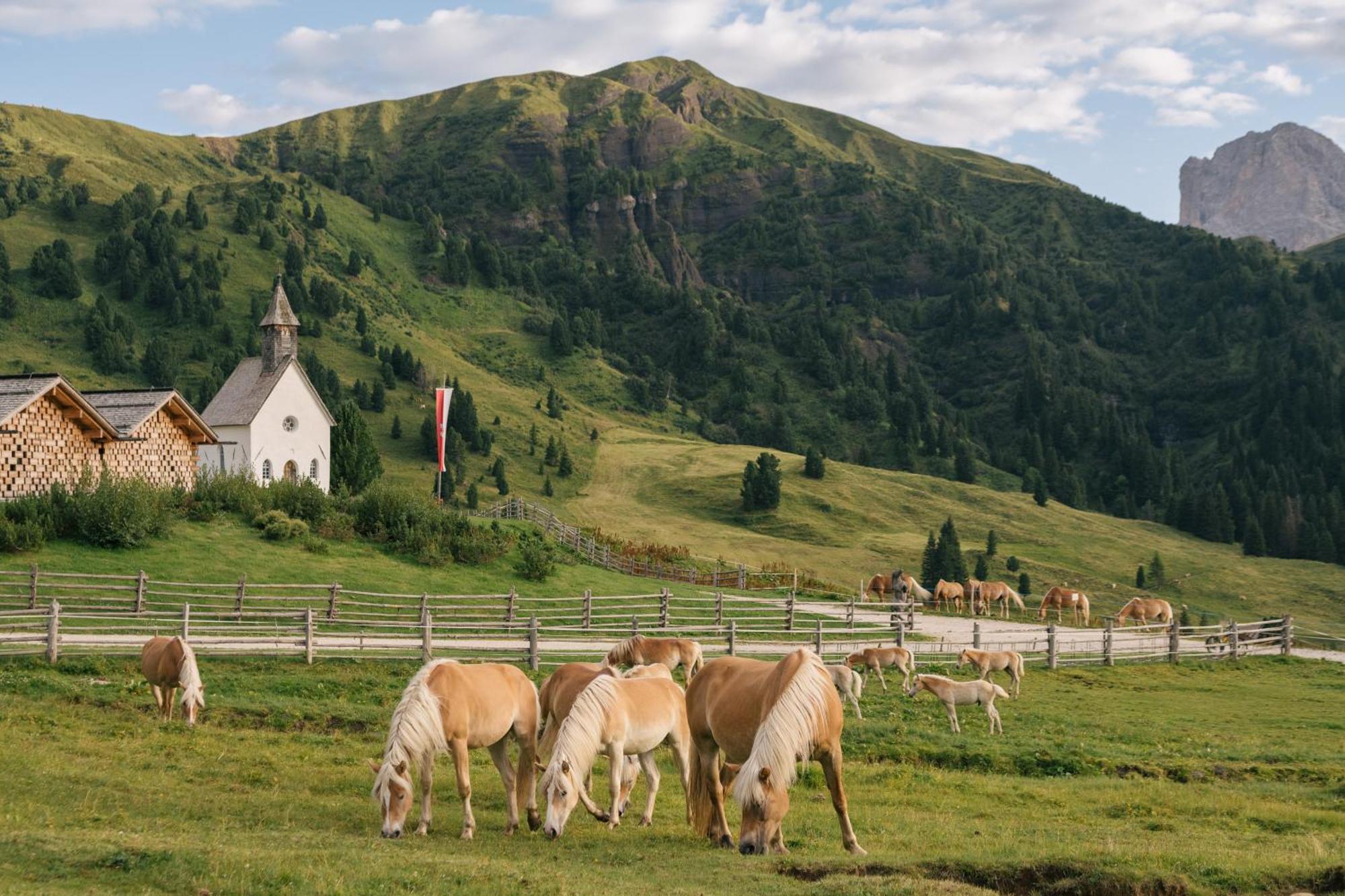 Zallinger Dolomites Alpe Di Siusi Esterno foto